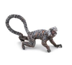 PAPO - OUISTITI #50313